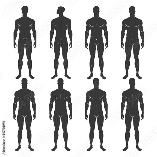 Male Physique Silhouettes: Front, Back, and Angle Variations for Anatomy Study.