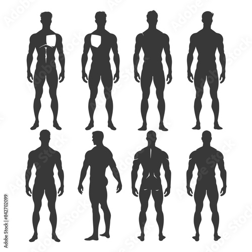 Anatomy Silhouettes: Male Torso Front & Back Views, Muscle Groups Illustrated, Fitness Reference.