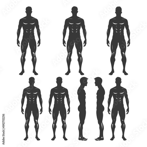 Human Anatomy Silhouettes: Front, Side, and Back Views, Male Figure Templates.