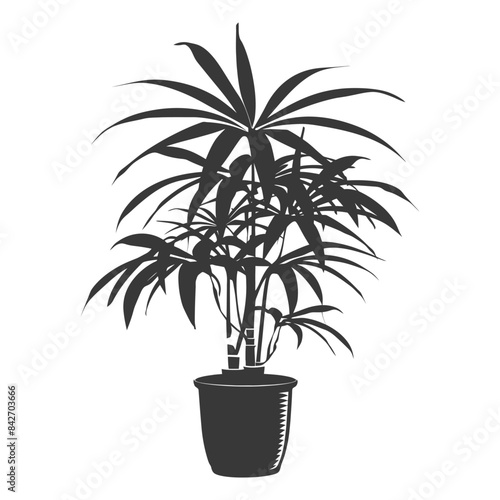 silhouette ornamental plants in pot full body black color only