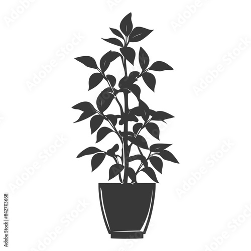 silhouette ornamental plants in pot full body black color only