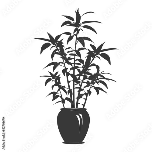silhouette ornamental plants in pot full body black color only