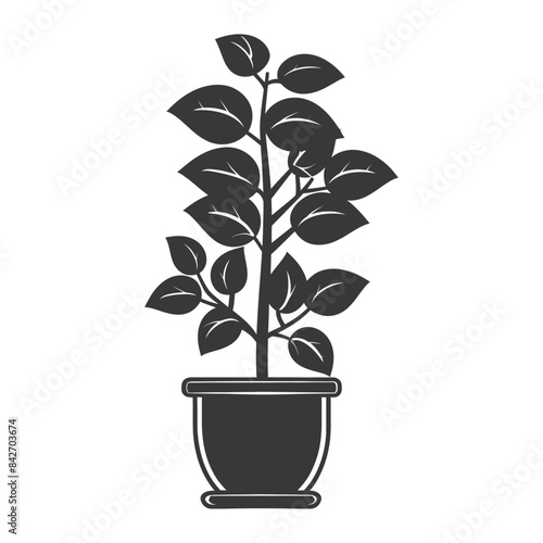 silhouette ornamental plants in pot full body black color only