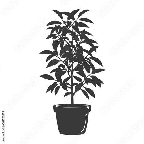 silhouette ornamental plants in pot full body black color only