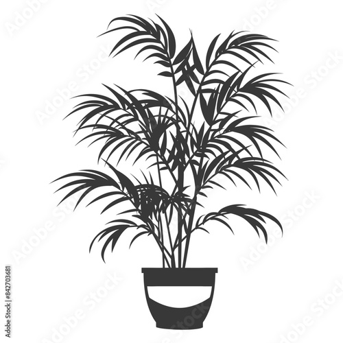 silhouette ornamental plants in pot full body black color only