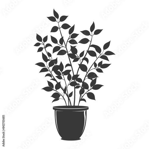 silhouette ornamental plants in pot full body black color only