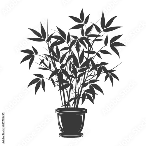 silhouette ornamental plants in pot full body black color only