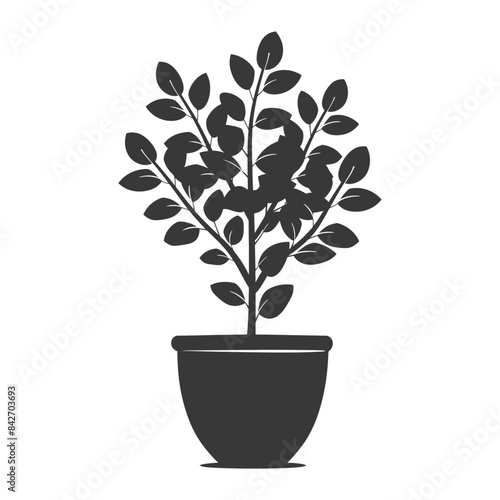 silhouette ornamental plants in pot full body black color only