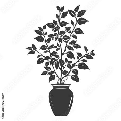 silhouette ornamental plants in vase full body black color only