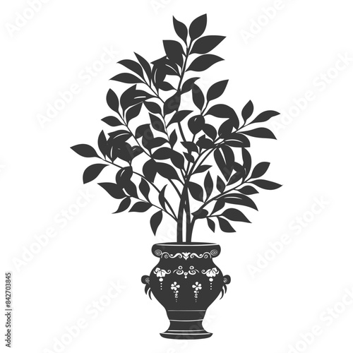 silhouette ornamental plants in vase full body black color only