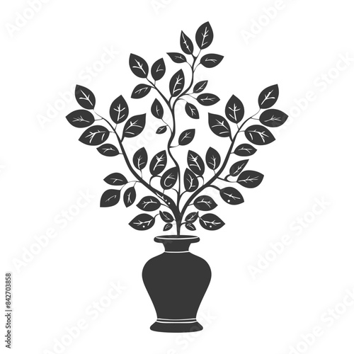 silhouette ornamental plants in vase full body black color only