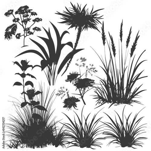 Botanical Silhouettes: Assorted Grasses, Palm, & Wildflower Grouping, Monochrome Vector.