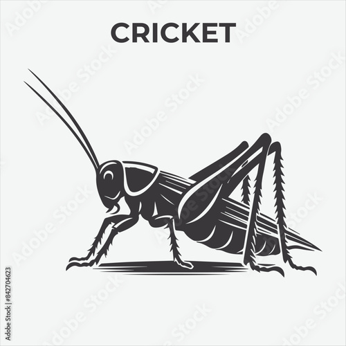 A Distinctive Cricket Silhouette for Multi-Format Design Projects. Vector Illustration