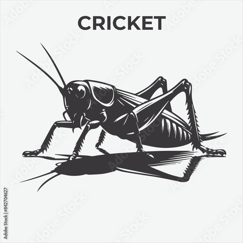 A Distinctive Cricket Silhouette for Multi-Format Design Projects. Vector Illustration