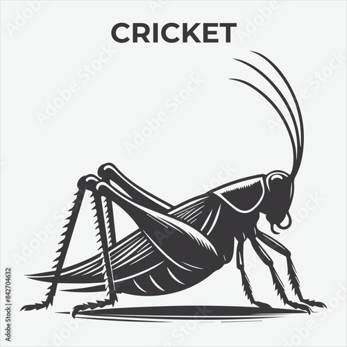 A Distinctive Cricket Silhouette for Multi-Format Design Projects. Vector Illustration