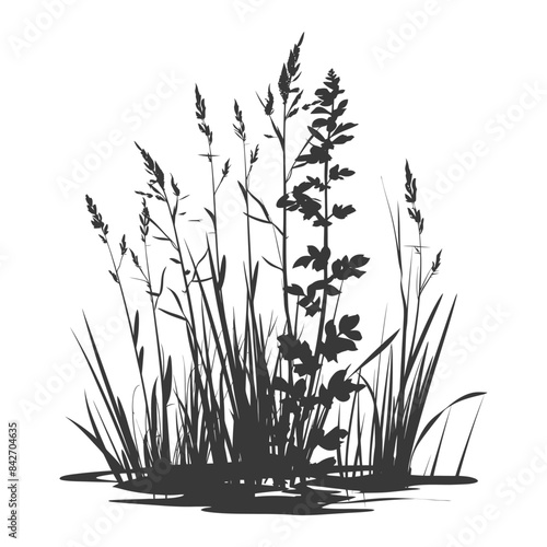 silhouette swamp coastal plants black color only
