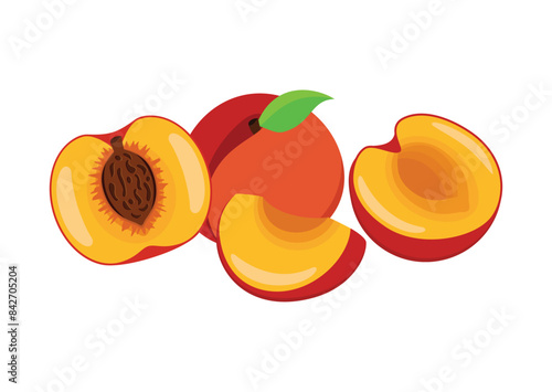 Half, whole and slice fresh peach fruit icon vector. Ripe peaches icon set on a white background. Peach cut in half drawing. Peaches still life illustration. Template for background, banner, card
