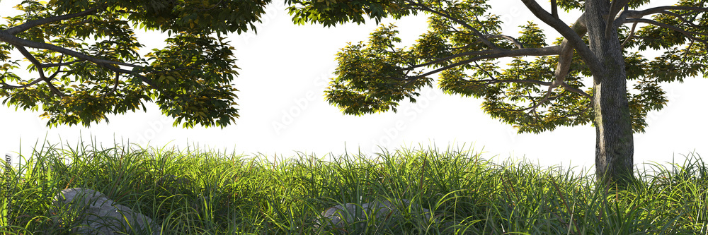 tree branches and grass field
tree branches and grass field