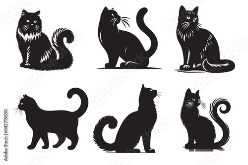 Cat silhouette vector illustration