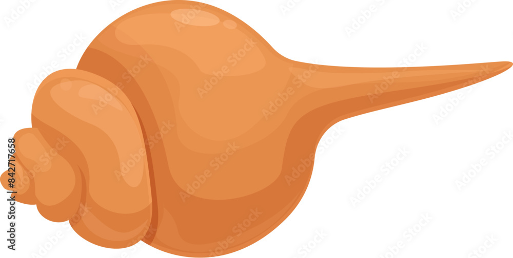 Big sea shell from tropical lagoon lying on white background Big sea shell from tropical lagoon lying on white background