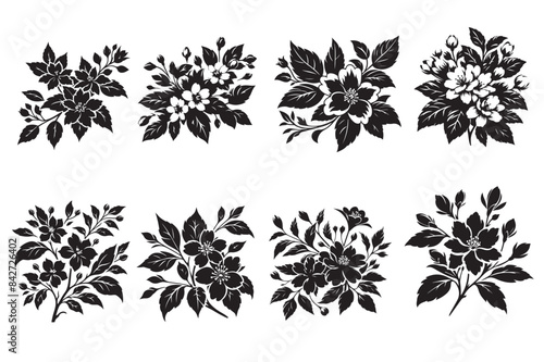 Jasmine silhouette vector illustration.eps