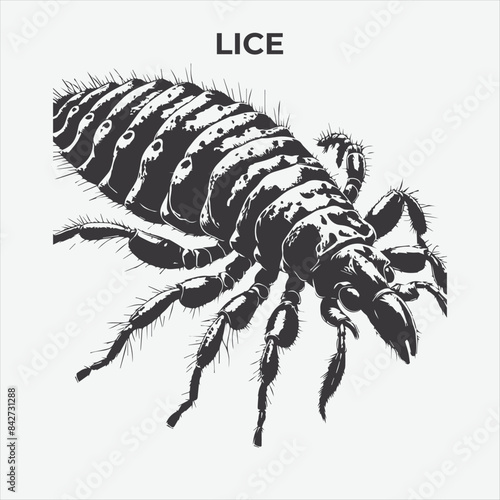 A Clear and Bold Lice silhouette for Versatile Applications. Vector Illustration