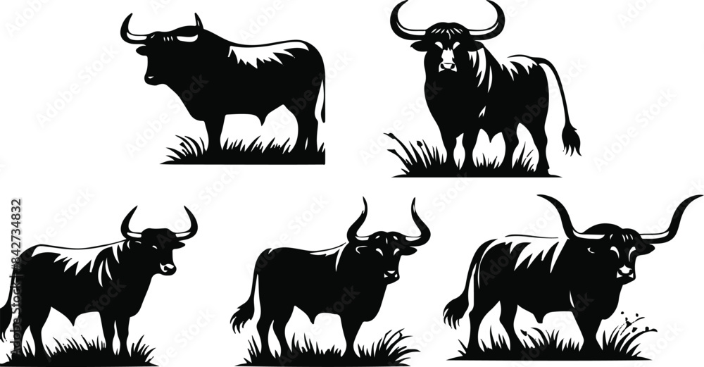 Obraz premium Print