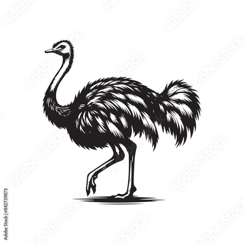 Ostrich silhouette vector art illustration. photo