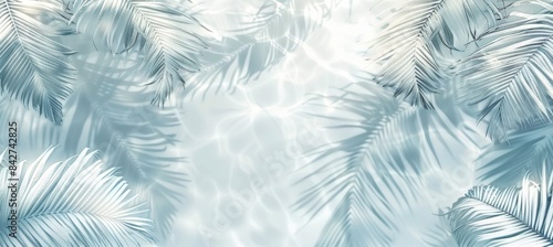 Tropical tranquility: palm leaves on a white fuzzy background