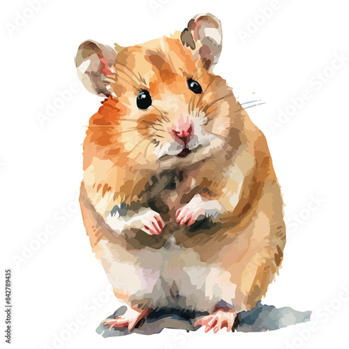 Watercolor clipart vector of a Hamster, isolated on a white background, Hamster vector, Illustration painting, Graphic logo, drawing design art