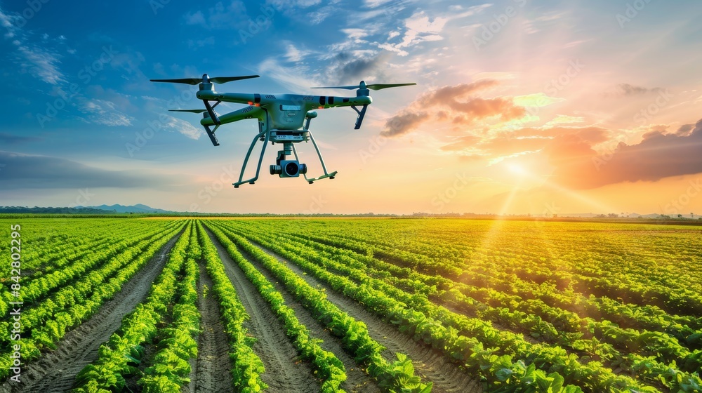 Futuristic agricultural scene  drone pollinators and automated farming in panoramic landscape