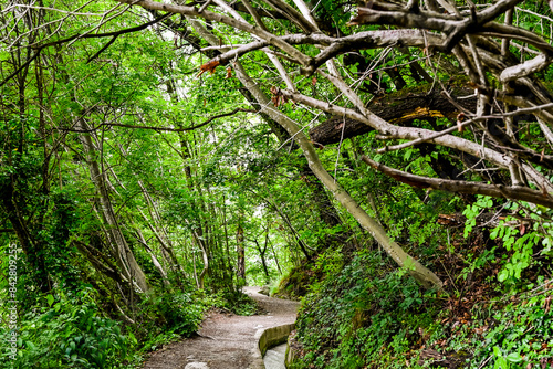 Algund, Waalweg, Algunder Waalweg, Waal, Wasserrinne, Wanderweg, Waldweg, Kastanienwald, Frühlingsferien, Frühling, Vinschgau, Meran, Südtirol, Italien photo