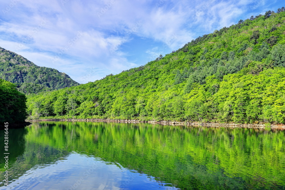 新緑の琵琶池 新緑の琵琶池