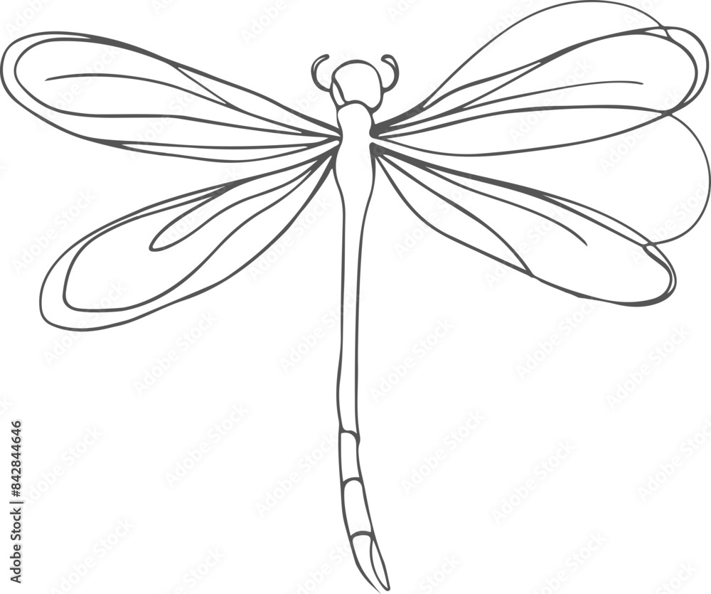 dragonfly dragonfly