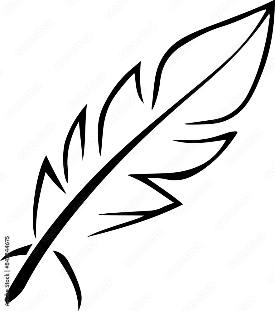 Fototapeta premium feather