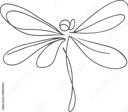 dragonfly