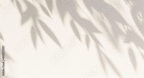 Leaf shadows on a cement background illustration