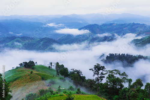 Εκτύπωση καμβά Morning the winter mist view of Tak Province, Thailand.