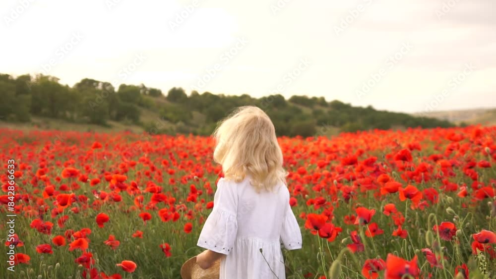 A young girl wearing a straw hat stands in a field of red poppies. The scene is serene and peaceful, with the woman looking up at the sky. A young girl wearing a straw hat stands in a field of red poppies. The scene is serene and peaceful, with the woman looking up at the sky.