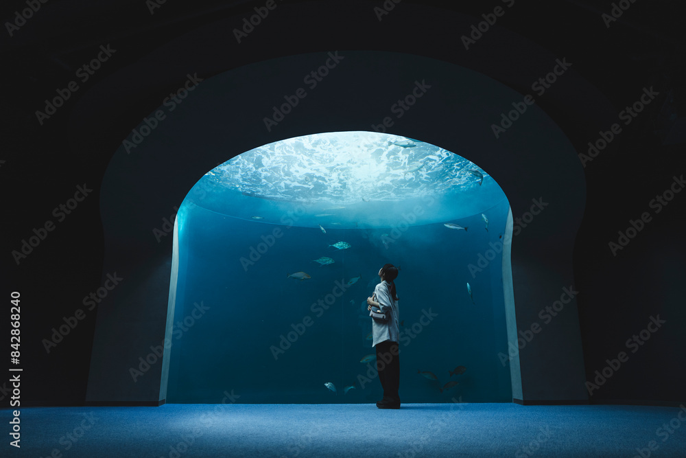 Obraz premium 水族館の女性