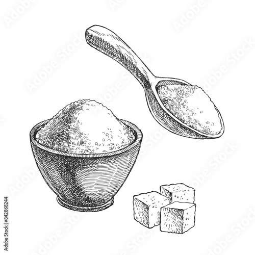 Vector hand-drawn illustration of a granulated and cube sugar in engraving style. Sketch with spices in a cup and spoon for recipe design.