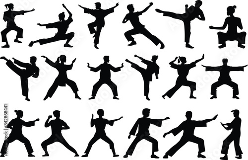 Kung Fu Martial Arts Silhouette Isolated Vector Illustration Collection