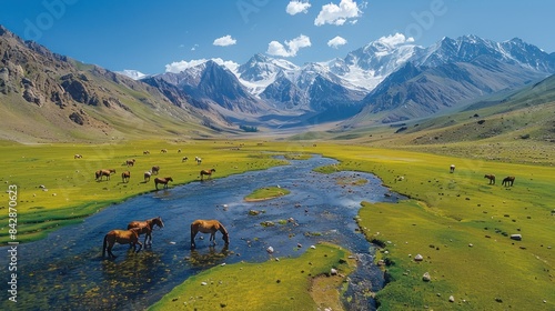 Overhead view of Shandur Pass during the annual polo festival photo