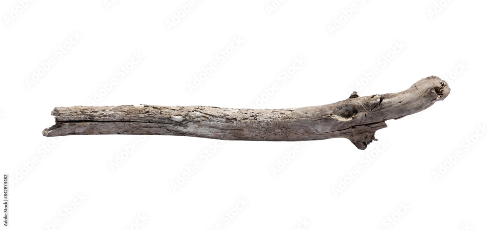 Old dry tree branch isolated on white Old dry tree branch isolated on white