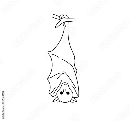 Vector isolated bat rousettus pteropus hanging on a tree branch flying fox, flying dog bat colorless black and white contour line easy drawing