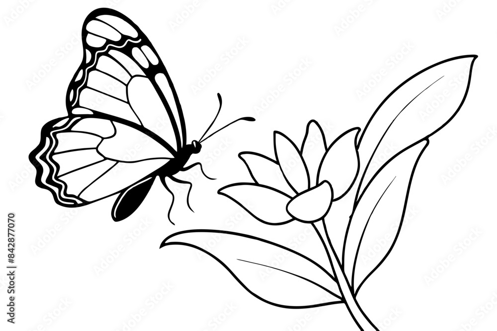 butterfly flies on a flower outline vector illustration
