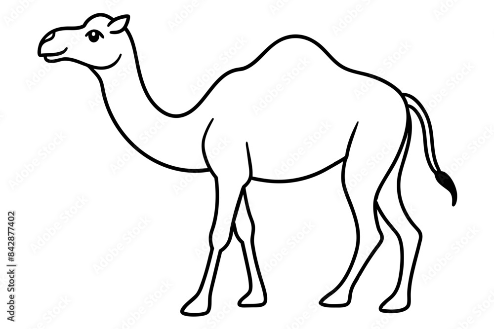 camel outline vector illustration camel outline vector illustration