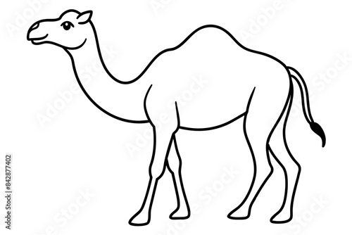 camel outline vector illustration