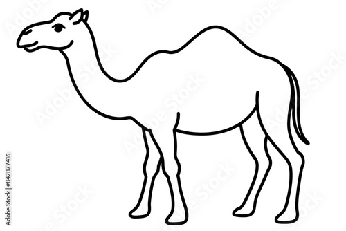 camel outline vector illustration