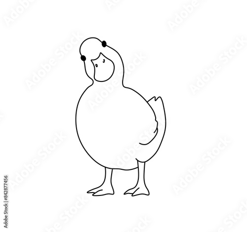 Vector isolated  duck duck goose  colorless black and white contour line easy drawing 